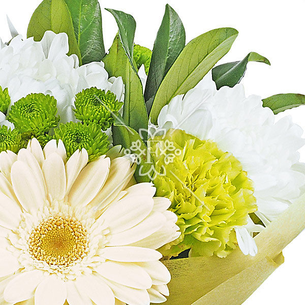 Волна нежности - букет из хризантем, гвоздик и гербер.